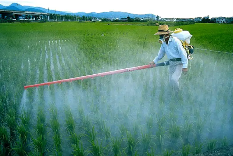 pesticidi insetticidi inquinamento acqua